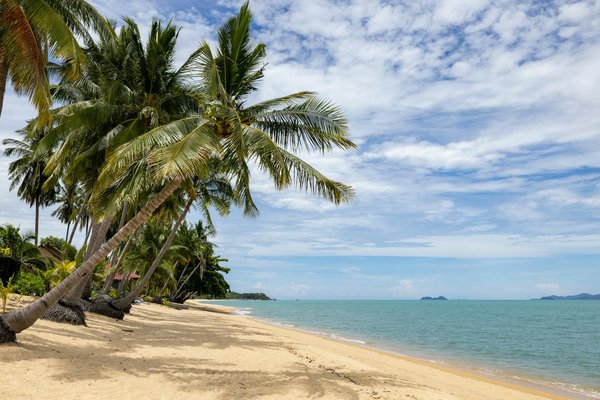 Quelles destinations offrent les meilleures expériences écotouristiques ?